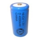 Batterie NiCD D 4000 mAh - 1,2V - Evergreen
